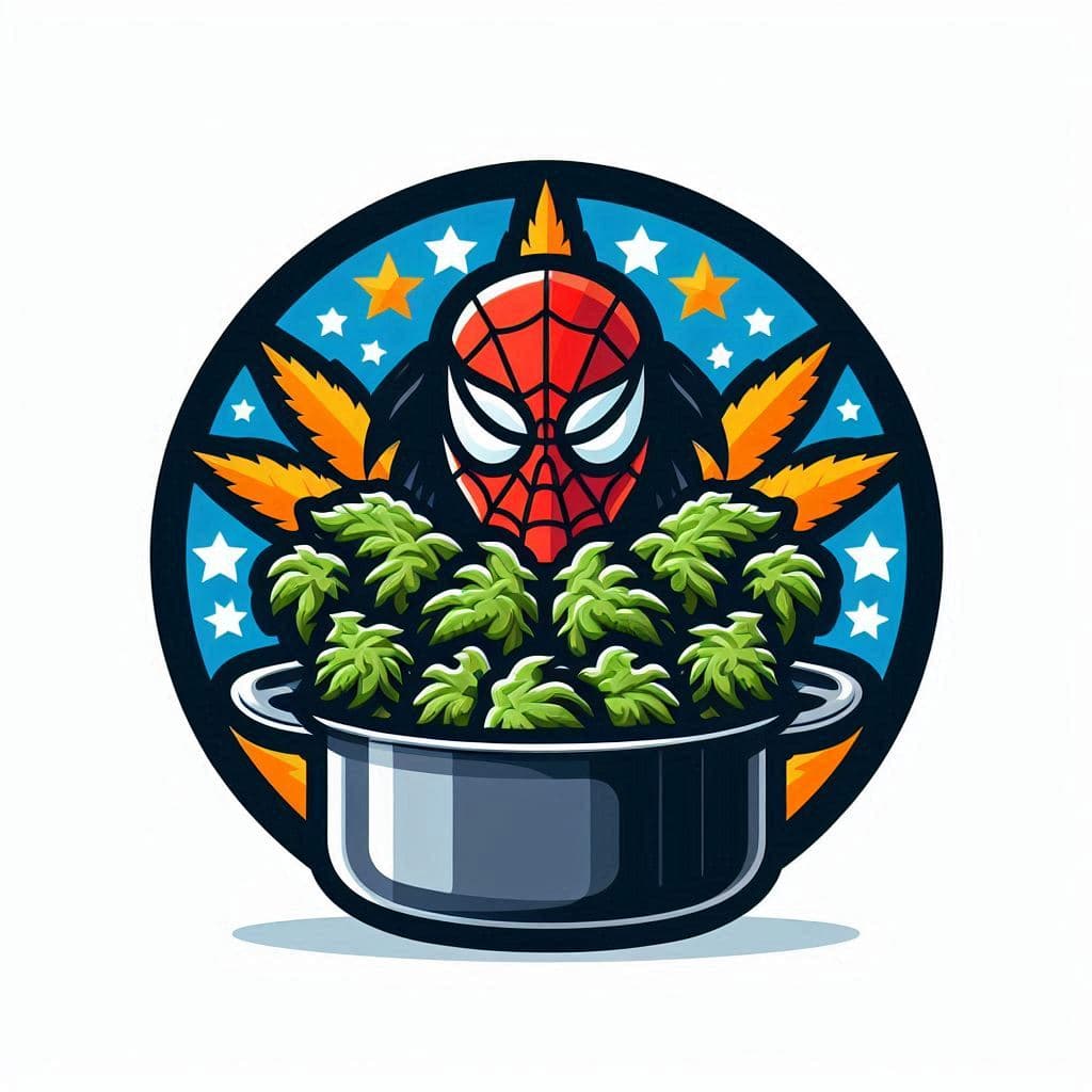 10 Facts About Northern Lights You Didn’t Know